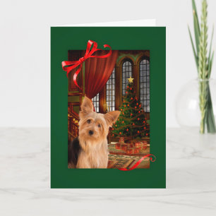 Yorkie Christmas Card
