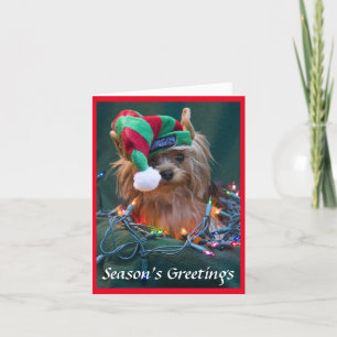Yorkie Christmas Card