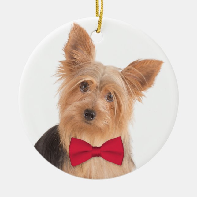 Yorkie Christmas Ornament (Front)