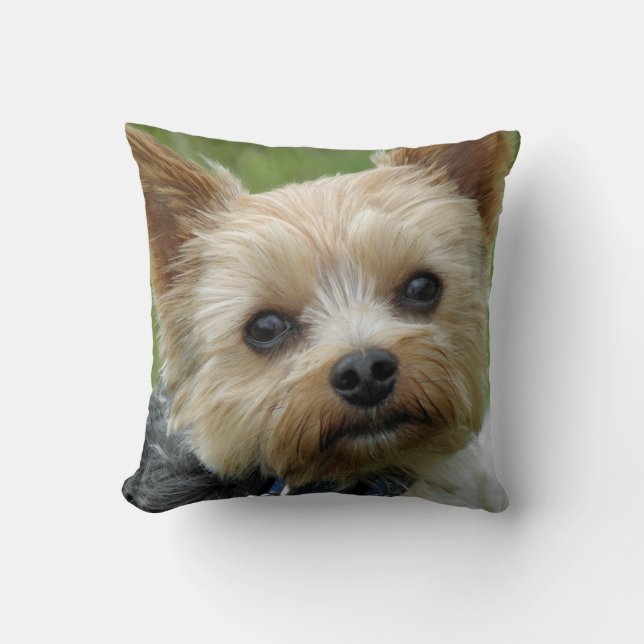 Yorkie Cushion (Front)