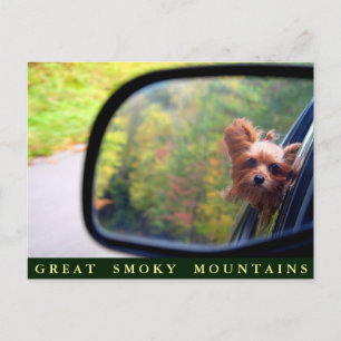 Yorkie Dog - Autumn Ride - Great Smoky Mountains Postcard