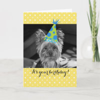 Yorkie Dog Birthday Card