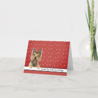 Yorkie Dog Thank You for Pet Sitting