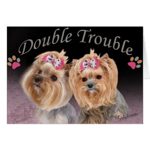 Yorkie Double Trouble Cards