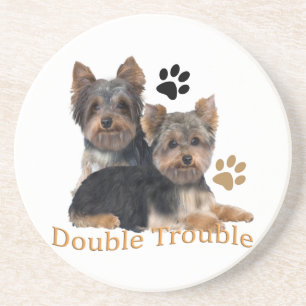 Yorkie Double Trouble Coaster