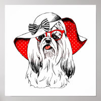 Yorkie Fashion Shoot