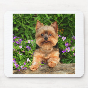 Yorkie flowers mouse pad