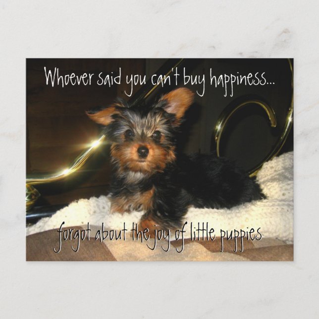 Yorkie Happiness  Customisable Postcard (Front)