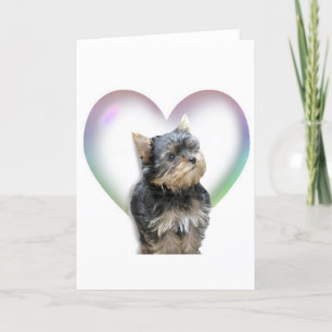 Yorkie Heart Card