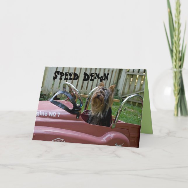 Yorkie in Car Birthday Card (Front)