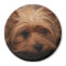 Yorkie Magnet