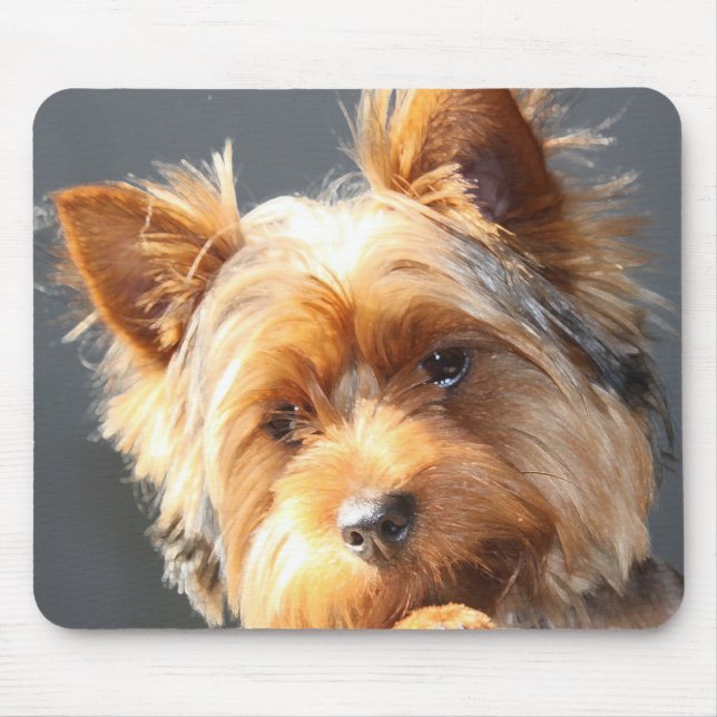 yorkie mouse pad (Front)