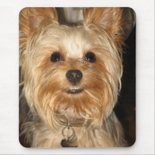 yorkie mouse pad