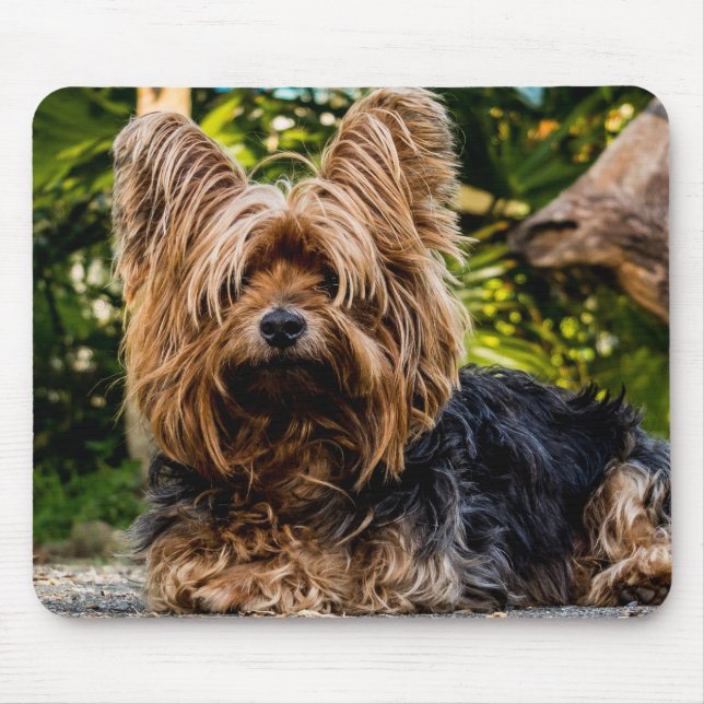 Yorkie Mouse Pad (Front)