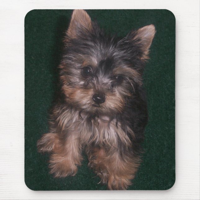 Yorkie Mousepad (Front)