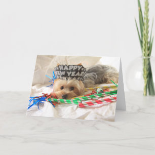 Yorkie New Year Card