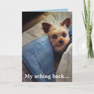 Yorkie on heating pad Customisable Thank You Card