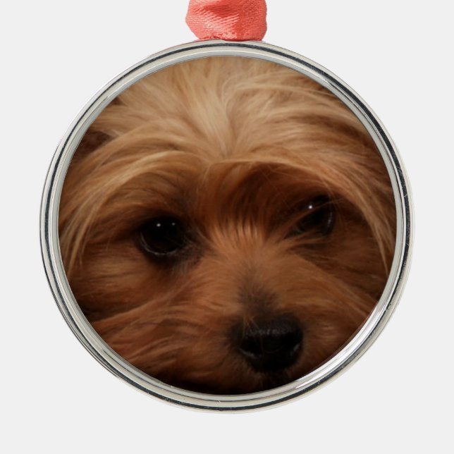 Yorkie or Your Dog Picture Christmas Metal Ornament (Front)