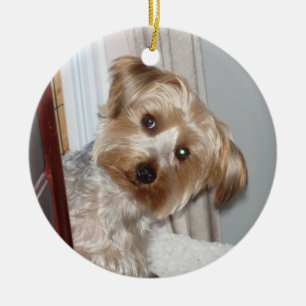 Yorkie Peeking Around the Corner Ceramic Tree Decoration