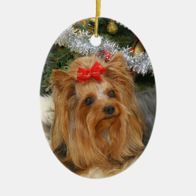 Yorkie Photo Christmas Ornament (Front)