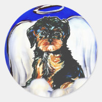 Yorkie Poo Angel