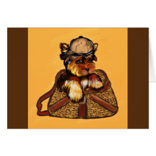 Yorkie Poo - Father's Day