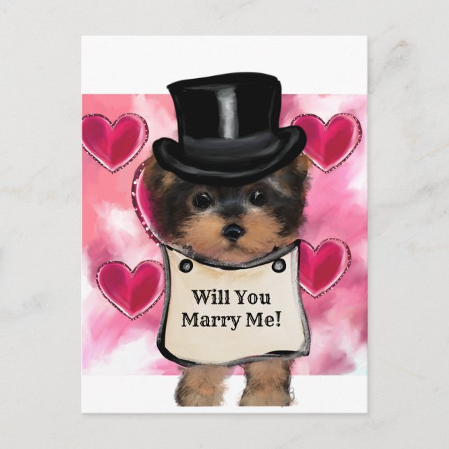 Yorkie Poo   Postcard (Front)