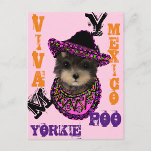 Yorkie Poo Postcard