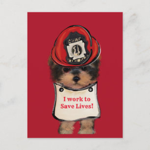 Yorkie Poo Postcard