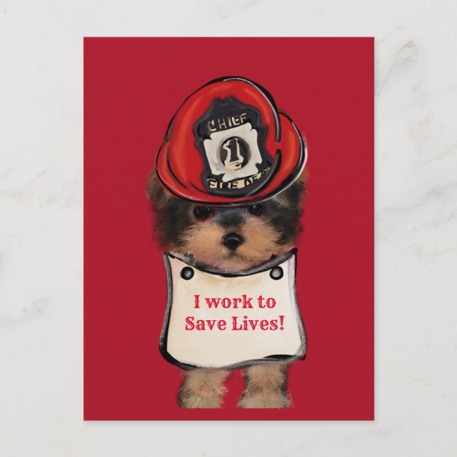 Yorkie Poo    Postcard (Front)