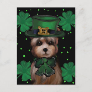 Yorkie Poo Postcard