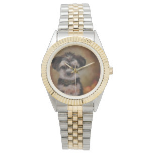 Yorkie Poo Watch