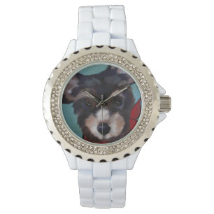 Yorkie Poo          Watch