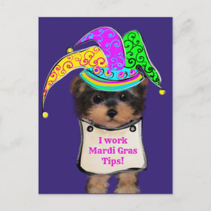 Yorkie Poo y Postcard