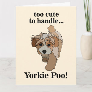 Yorkie Poo Yorkipoo Cute Dog Card