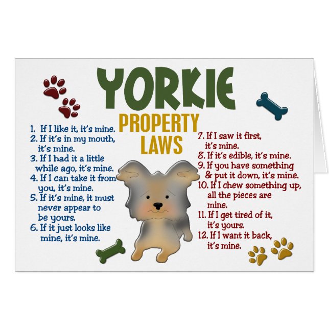 Yorkie Property Laws 4 (Front Horizontal)