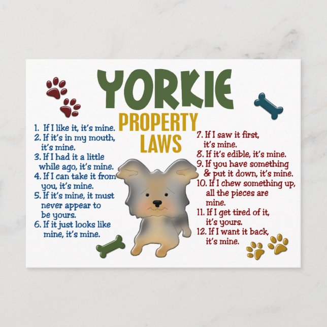 Yorkie Property Laws 4 Postcard (Front)