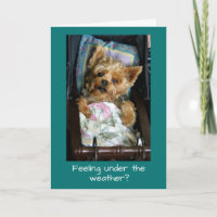 Yorkie Pup in Baby Carriage