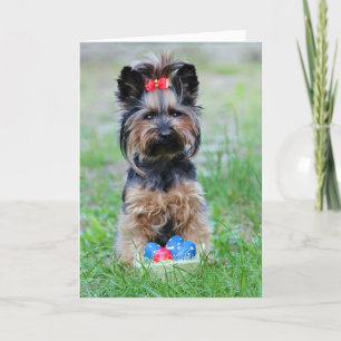 Yorkie Puppy With Easter Eggs Holiday Card