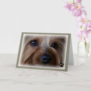 Yorkie Sad Eyes Card