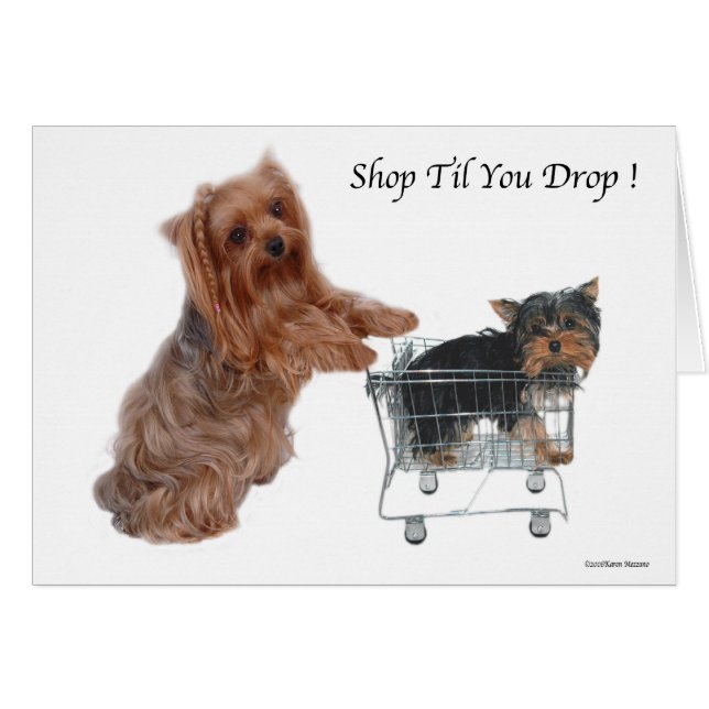 Yorkie Shop Til You Drop (Front Horizontal)