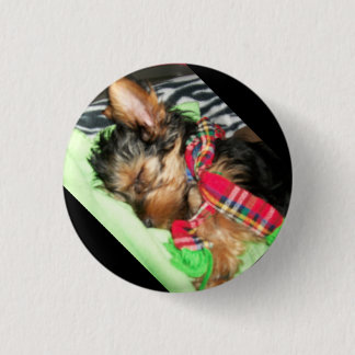 Yorkie Snuggle 3 Cm Round Badge