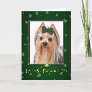 Yorkie St. Patrick's Day Card