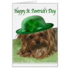 Yorkie St. Pawtrick's Day