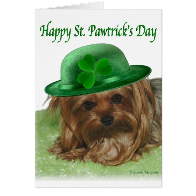 Yorkie St. Pawtrick's Day (Front)