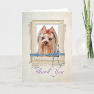 Yorkie Thank You Card