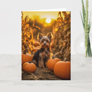 Yorkie Thanksgiving Holiday Card