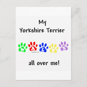 Yorkie Walks All Over You Postcard