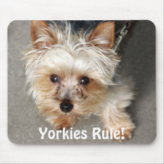 Yorkie, Yorkies Rule! Mouse Pad