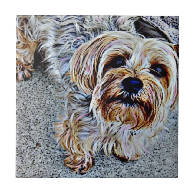 Yorkie Yorkshire Terrier Coloured Ceramic Tile (Front)